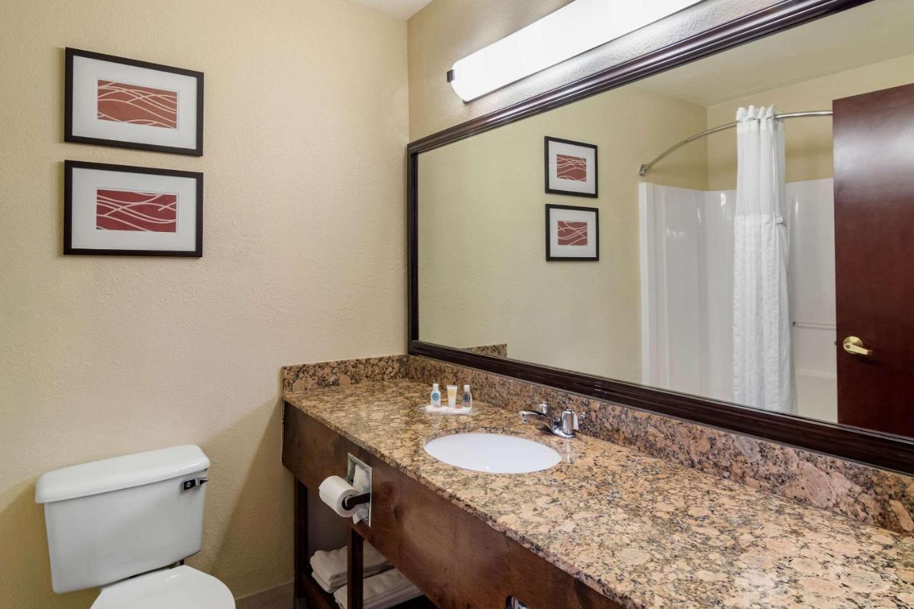 Comfort Inn & Suites Suwanee - Sugarloaf Экстерьер фото
